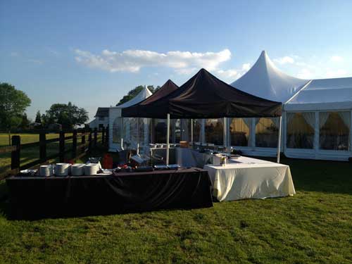 Hot Hog Roast Wedding